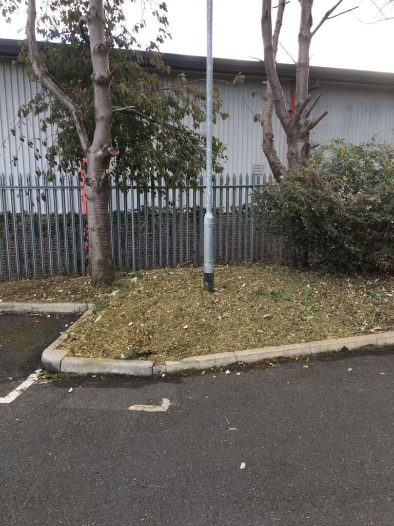 Completed commercial grounds maintenance and tree pruning by RidgeOak in Hertfordshire.