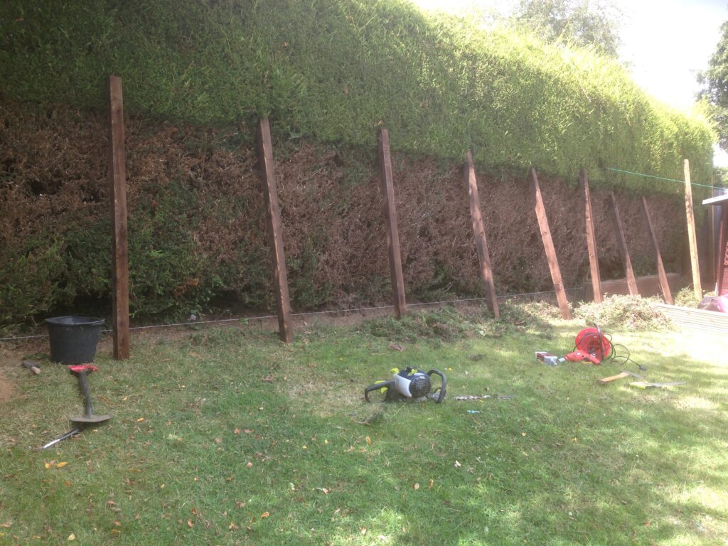 Timber fence posts being installed for a professionally designed garden fence with a 15-year guarantee in Hertfordshire.