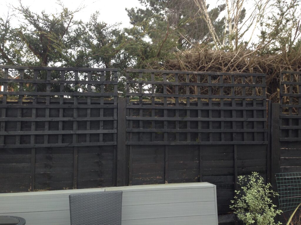 Overgrown timber garden fence before professional fence refurbishment and restoration by RidgeOak in Hertfordshire.