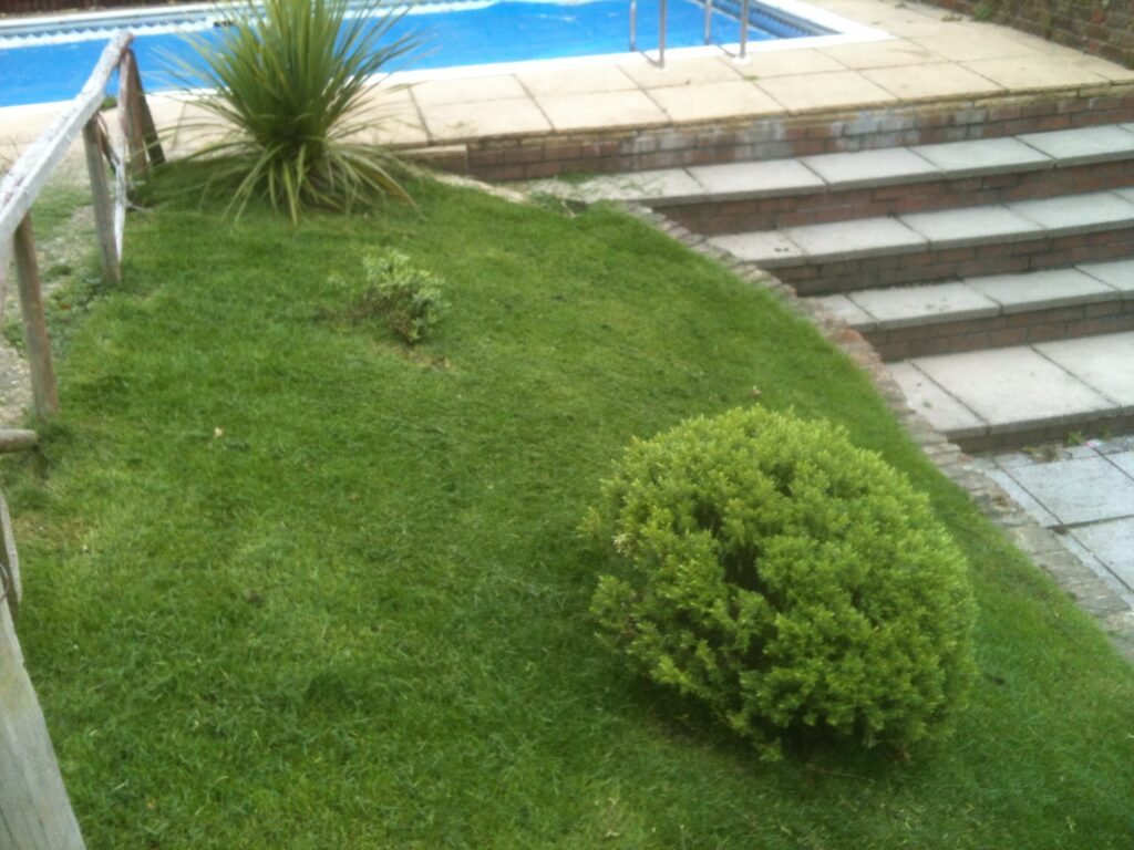 Professional garden maintenance by RidgeOak in Hertfordshire.