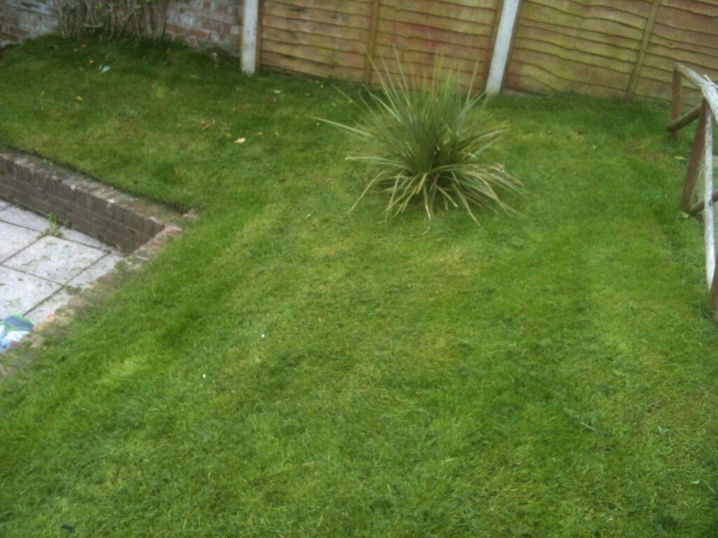 Professional lawn maintenance and garden care by RidgeOak in Hertfordshire.