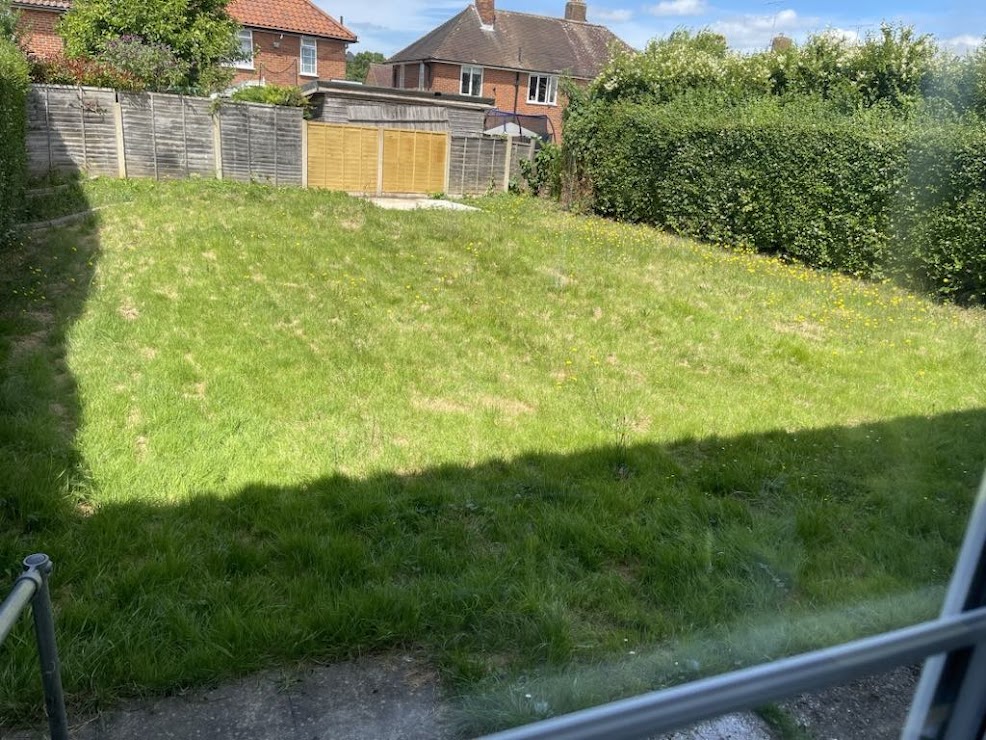 Overgrown rear garden before clearance with long grass, weeds and overgrown hedges.