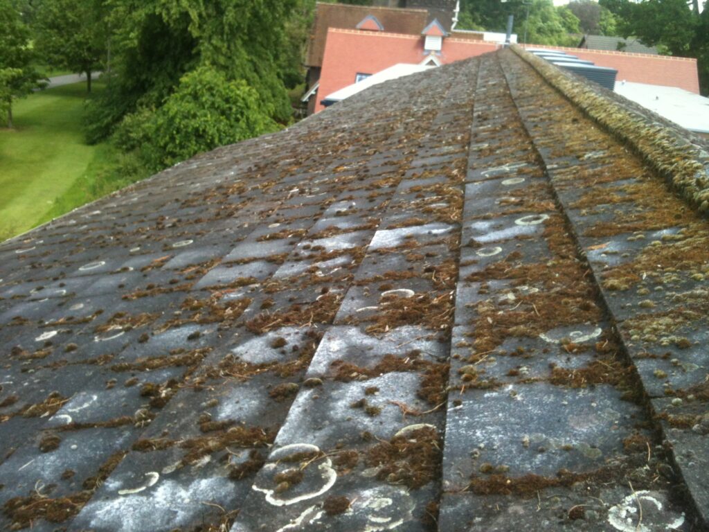 Concrete roof tiles heavily covered with moss and lichen before professional roof cleaning by RidgeOak in Hertfordshire.