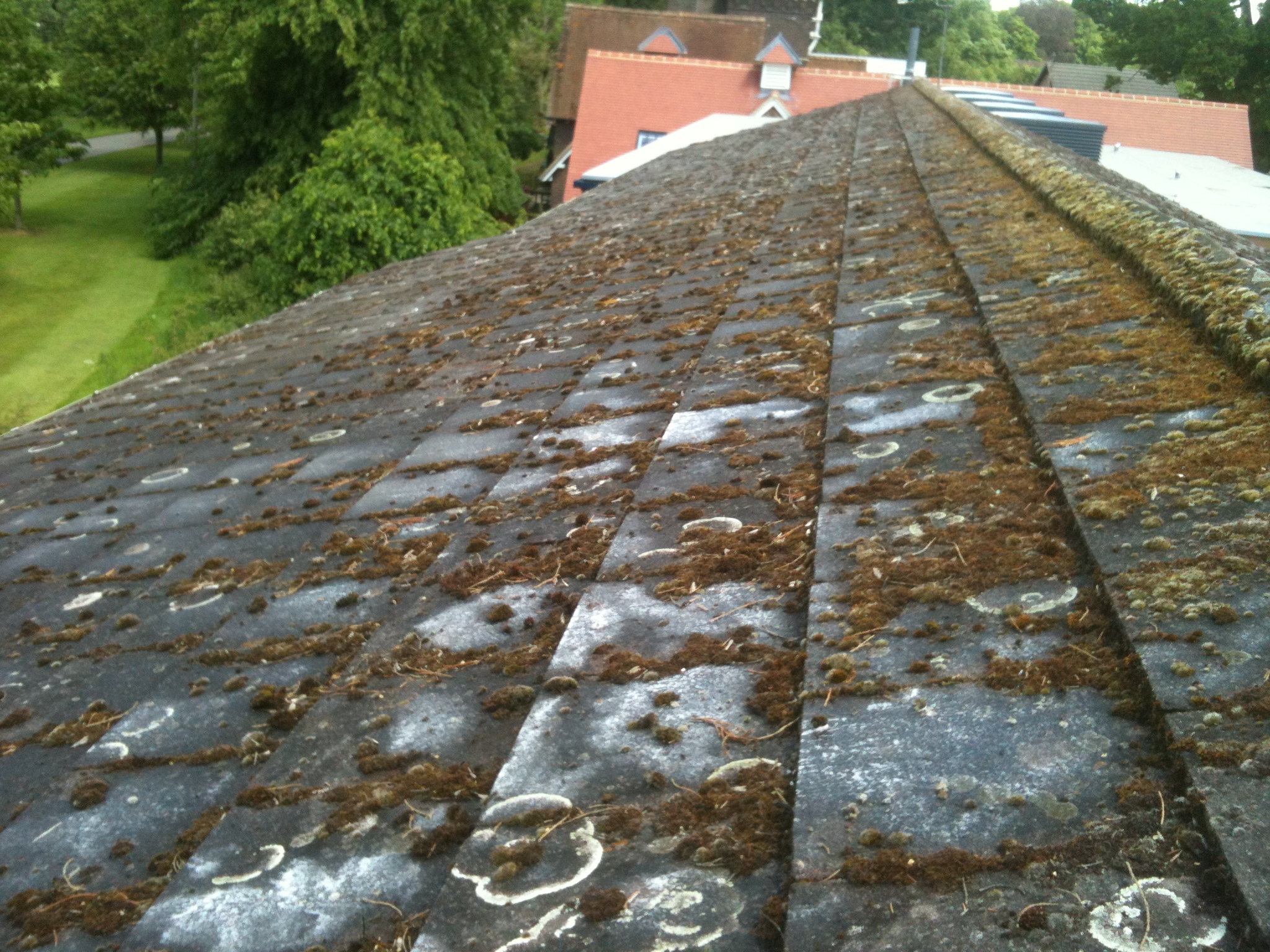 RidgeOak roof cleaning project