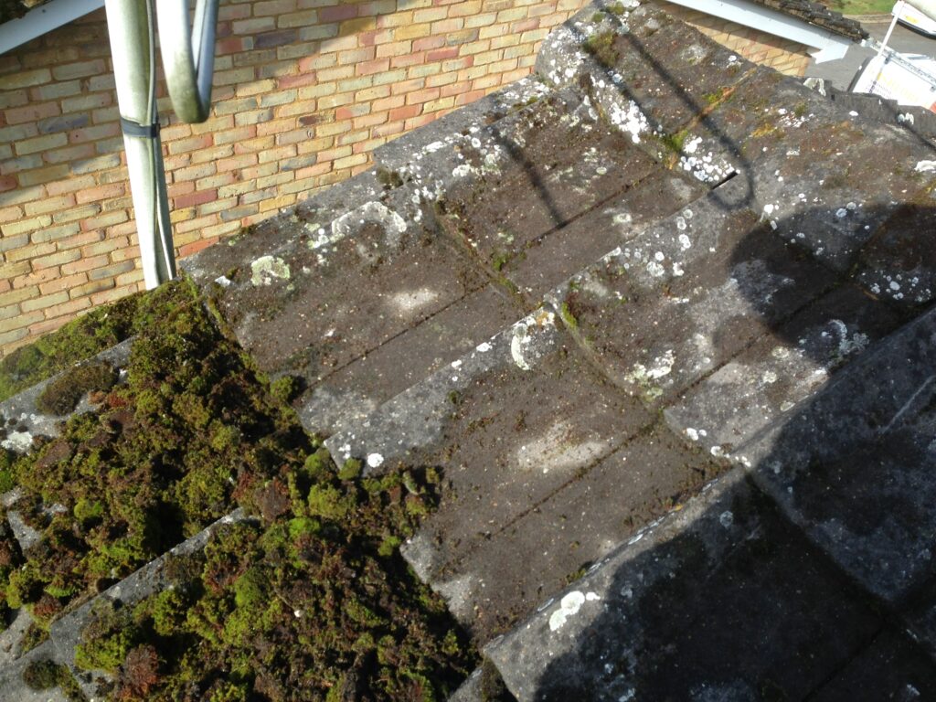 Concrete roof with heavy moss growth before professional roof cleaning by RidgeOak in Hertfordshire.