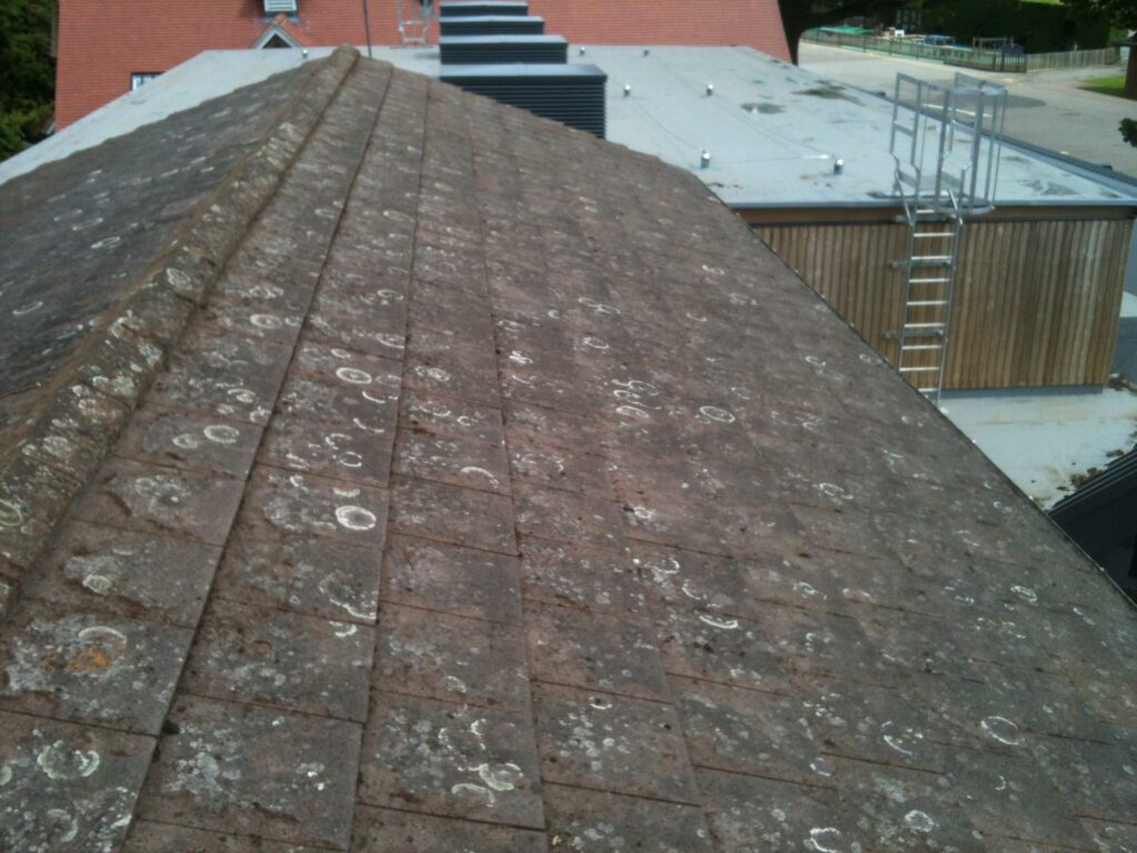 Concrete tiled roof heavily covered with lichen before professional roof cleaning in Hertfordshire.