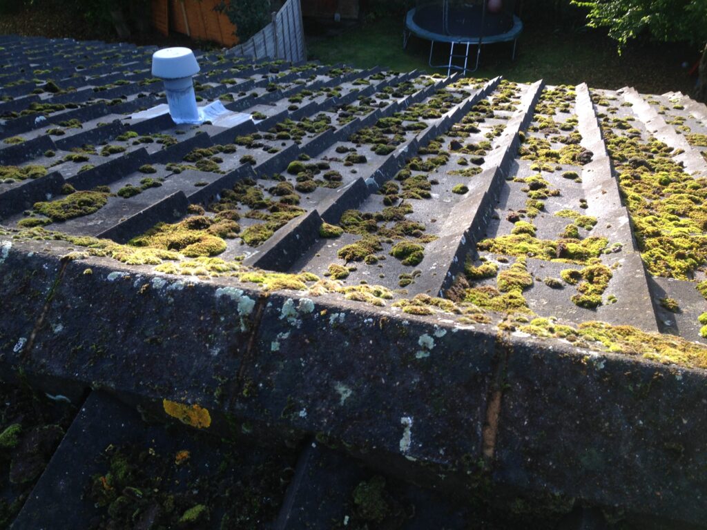 Roof tiles with heavy moss growth before professional roof cleaning by RidgeOak in Hertfordshire.