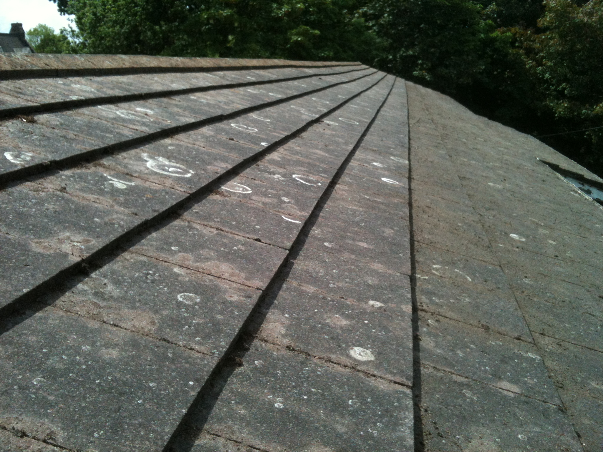 RidgeOak concrete tile roof cleaning