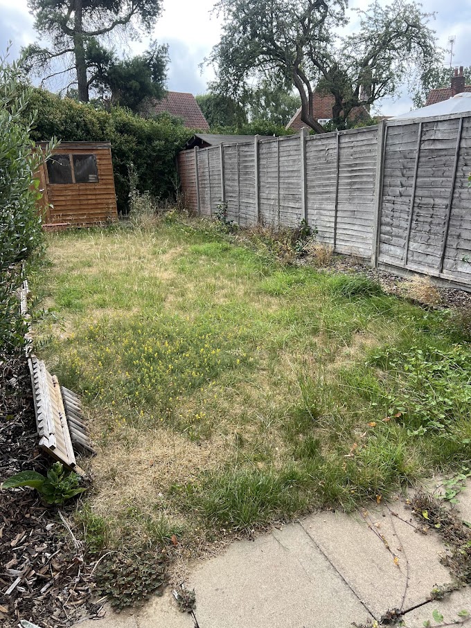 RidgeOak landscaping project
